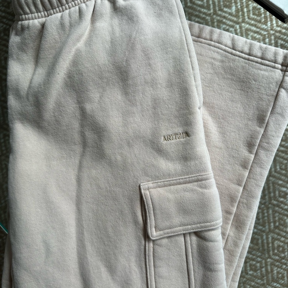 Aritzia Sweatfleece Mega Fit Cargo Sweatpants
